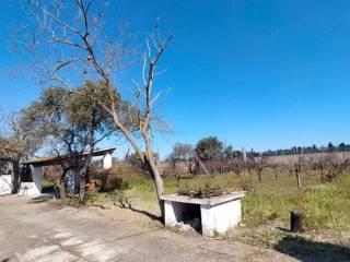 Villa unifamiliare Strada Vicinale Serralonga, Sorso — foto 7 di 64