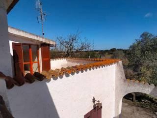 Villa unifamiliare Strada Vicinale Serralonga, Sorso — foto 29 di 64