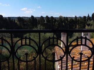 Villa unifamiliare Strada Vicinale Serralonga, Sorso — foto 21 di 64