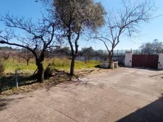 Villa unifamiliare Strada Vicinale Serralonga, Sorso — foto 14 di 64