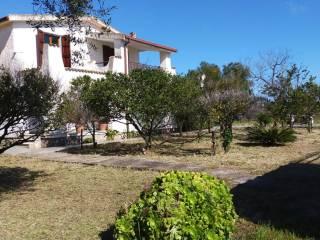 Villa unifamiliare Strada Vicinale Serralonga, Sorso — foto 27 di 64