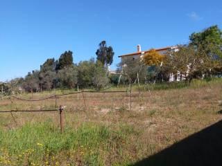 Villa unifamiliare Strada Vicinale Serralonga, Sorso — foto 16 di 64