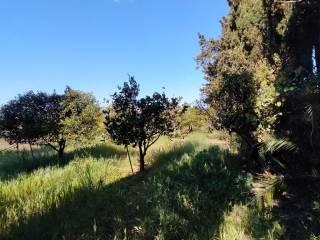 Villa unifamiliare Strada Vicinale Serralonga, Sorso — foto 4 di 64