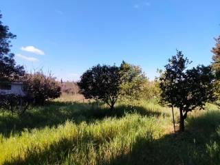 Villa unifamiliare Strada Vicinale Serralonga, Sorso — foto 38 di 64