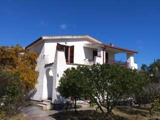 Villa unifamiliare Strada Vicinale Serralonga, Sorso — foto 44 di 64