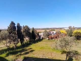 Villa unifamiliare Strada Vicinale Serralonga, Sorso — foto 32 di 64