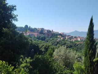 Villa unifamiliare Strada Provinciale Torre Noverana, Centro, Ferentino — foto 20 di 37