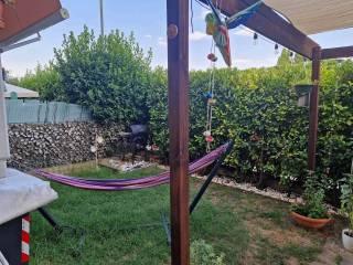 Appartamento ottimo stato, piano rialzato, Poggio a Caiano — foto 4 di 33