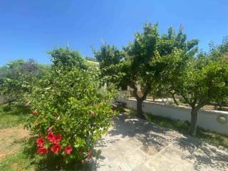 Villa a schiera Morgicchio, Specchiolla, Carovigno — foto 44 di 46