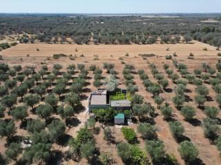 Villa unifamiliare Contrada Sant'Angeli, Oria — foto 34 di 38