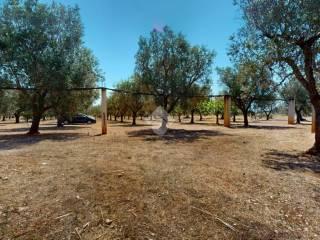 Villa unifamiliare Contrada Sant'Angeli, Oria — foto 28 di 38