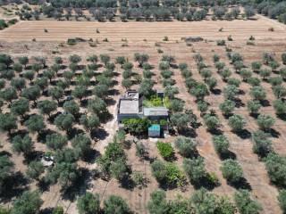 Villa unifamiliare Contrada Sant'Angeli, Oria — foto 30 di 38
