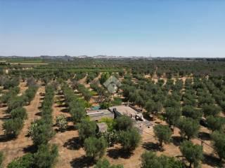 Villa unifamiliare Contrada Sant'Angeli, Oria — foto 20 di 38