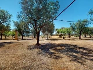 Villa unifamiliare Contrada Sant'Angeli, Oria — foto 31 di 38
