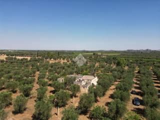 Villa unifamiliare Contrada Sant'Angeli, Oria — foto 26 di 38