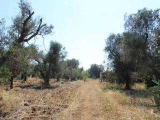Villa unifamiliare Contrada San Giacomo, San Vito dei Normanni — foto 5 di 14