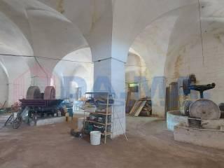 Casale via di Leuca 109, Leuca, Lecce — foto 39 di 68