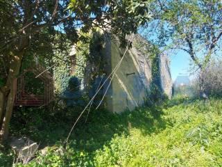 Casale via di Leuca 109, Leuca, Lecce — foto 60 di 68