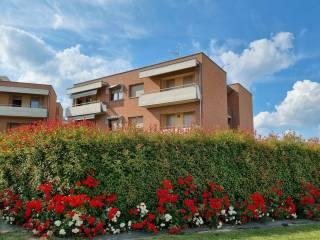 Monolocale via Ortolani 12, Vaccheria, Guarene — foto 14 di 20