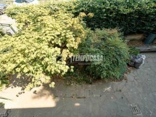 Villa unifamiliare viale Guglielmo Marconi, Spinadesco — foto 31 di 49