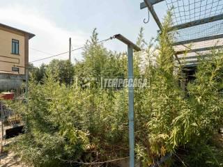 Villa unifamiliare viale Guglielmo Marconi, Spinadesco — foto 11 di 49
