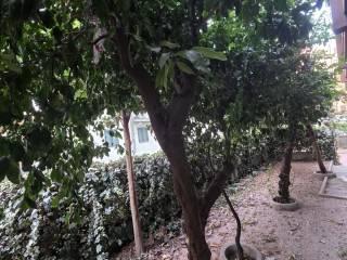 Bilocale via Gino Chierici 10, Centro Storico - Corso Trieste, Caserta
