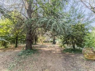 Villa unifamiliare via della stazione 116, Bassano Romano — foto 30 di 44