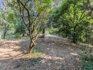 Villa unifamiliare via della stazione 116, Bassano Romano — foto 19 di 44
