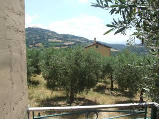 Terratetto unifamiliare Contrada Femmena Arsa, Paduli — foto 8 di 14