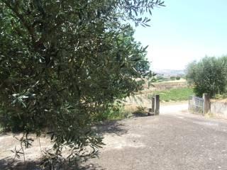 Terratetto unifamiliare Contrada Femmena Arsa, Paduli — foto 11 di 14