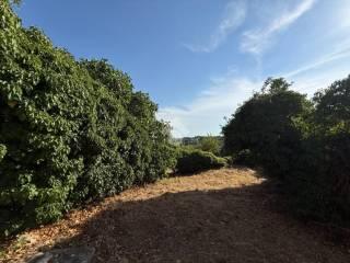 Casa colonica C.da Chiobbica di Cisternino, Cisternino — foto 23 di 45