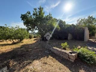 Casa colonica C.da Chiobbica di Cisternino, Cisternino — foto 3 di 45