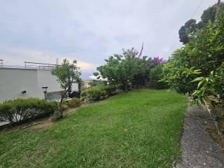 Appartamento viale delle Mimose, Centro, Pieve Ligure — foto 24 di 28