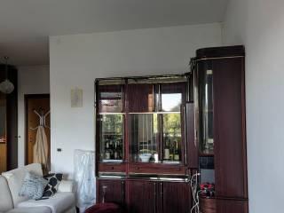 Stanza singola via Giuseppe Moruzzi 1, Pavia
