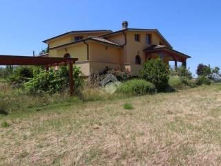 Villa unifamiliare via Contra 1, Poggio Nativo — foto 2 di 20