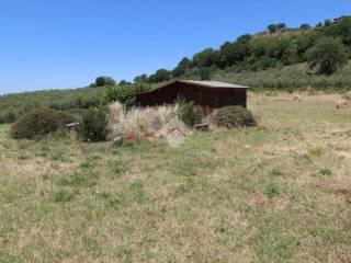Villa unifamiliare via Contra 1, Poggio Nativo — foto 16 di 20