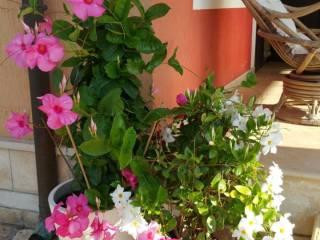 Villa unifamiliare Contrada Ulmo, Ceglie Messapica — foto 32 di 36