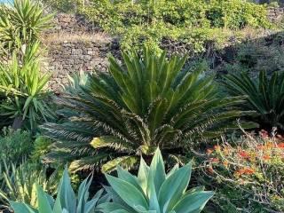 Villa unifamiliare C.da Bugeber Campobello snc, Bugeber, Pantelleria — foto 27 di 30