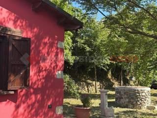 Rustico Contrada Colle Urbano, snc, Centro, Monteroduni — foto 22 di 34
