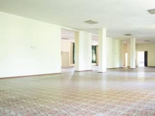 Villa plurifamiliare, buono stato, 3090 m², Centro, Gorizia — foto 14 di 46
