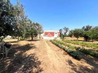 Villa unifamiliare C.da Torricella, Mesagne — foto 13 di 14