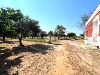 Villa unifamiliare C.da Torricella, Mesagne — foto 8 di 14