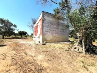 Villa unifamiliare C.da Torricella, Mesagne — foto 5 di 14