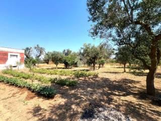 Villa unifamiliare C.da Torricella, Mesagne — foto 11 di 14