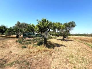 Villa unifamiliare C.da Torricella, Mesagne — foto 7 di 14