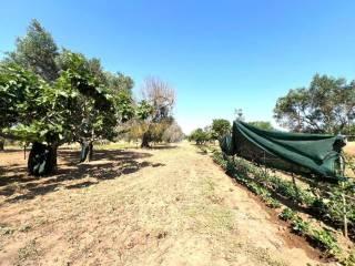 Villa unifamiliare C.da Torricella, Mesagne — foto 6 di 14