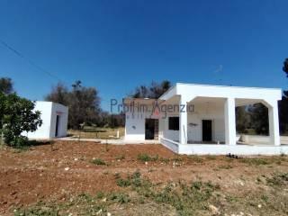 Villa unifamiliare, buono stato, 3995 m², San Vito dei Normanni — foto 3 di 22