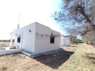 Villa unifamiliare, buono stato, 3995 m², San Vito dei Normanni — foto 16 di 22