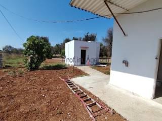 Villa unifamiliare, buono stato, 3995 m², San Vito dei Normanni — foto 15 di 22