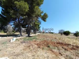 Villa unifamiliare, buono stato, 3995 m², San Vito dei Normanni — foto 7 di 22